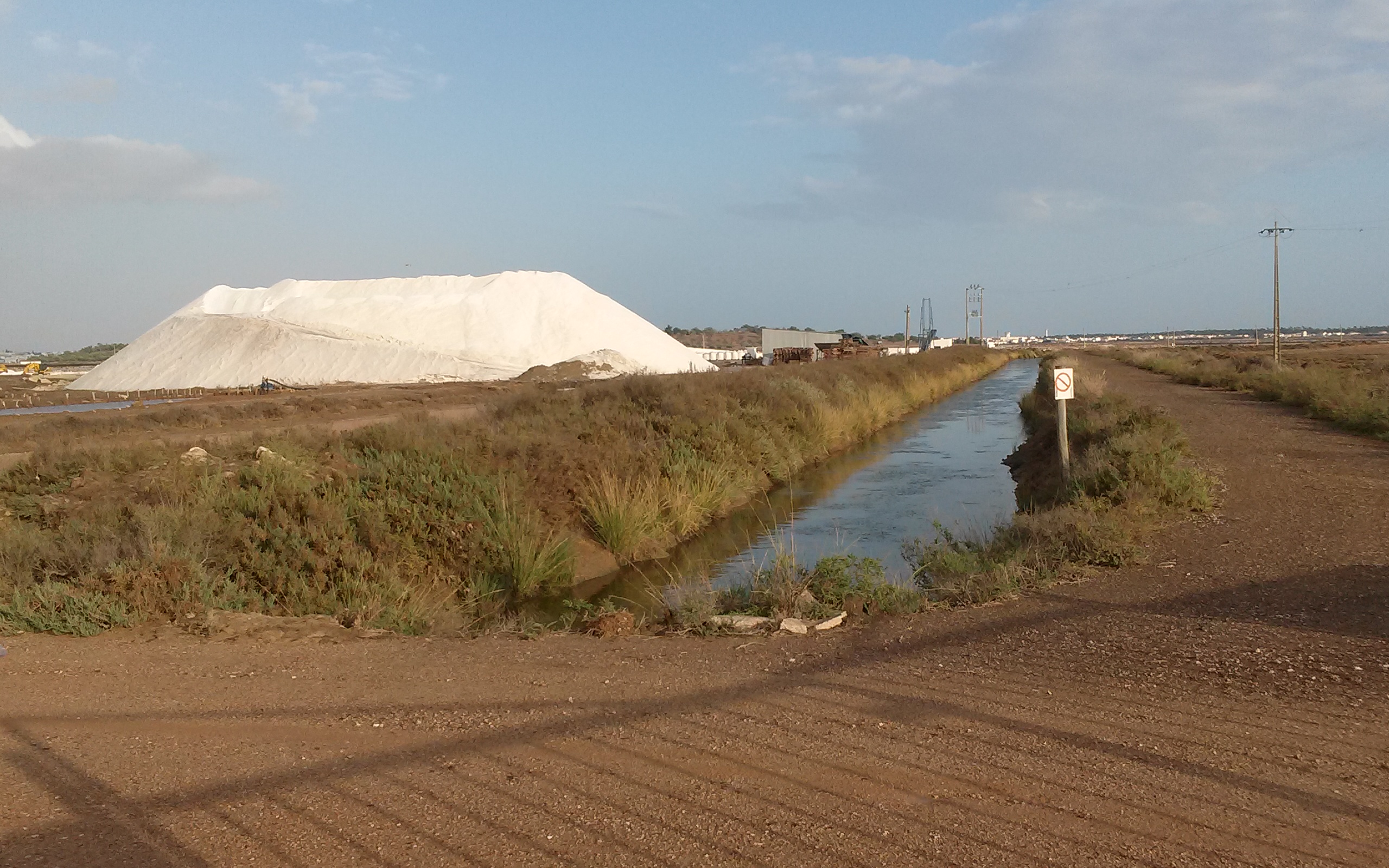 salinas